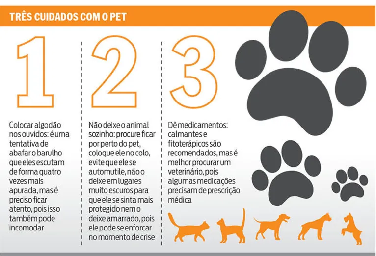 Veja como proteger seu pet da queima de fogos