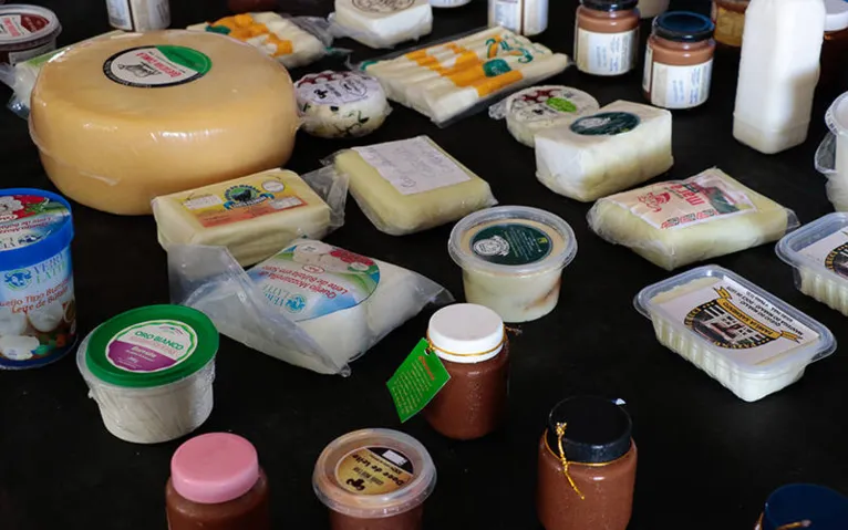Variedade de produtos feitos à partir do leite de búfala.
