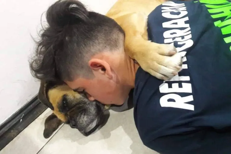 A boxer passou mal durante uma queima de fogos de artifícios e não resistiu. Postagem emocionada da família viralizou nas redes sociais
