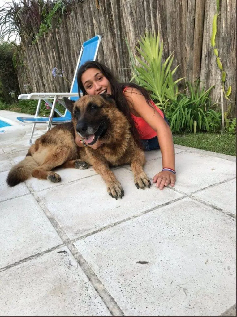 Jovem faz ensaio com cachorro, é mordida e leva 40 pontos no rosto. Veja!