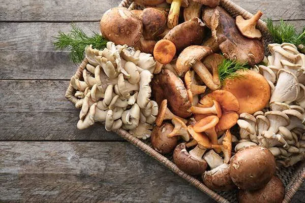 Quer turbinar o seu cérebro? Confira as dicas de alimentação 