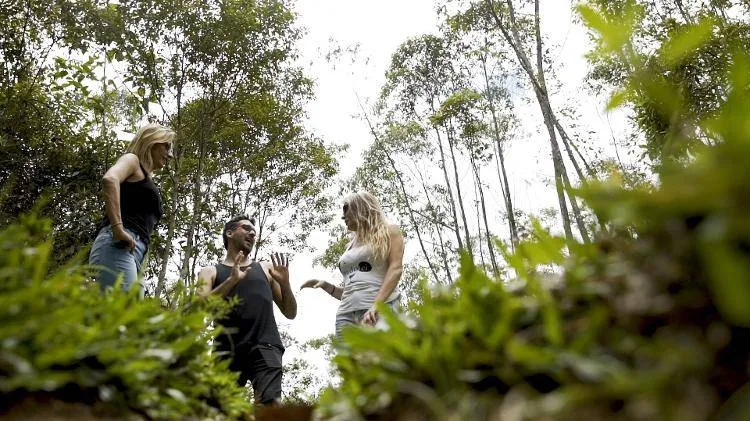 Luisa Mell compra floresta para abrigar animais resgatados; veja!