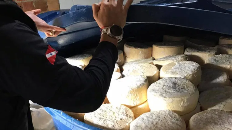 Queijo produzido em meio a fezes e moscas é apreendido no Pará