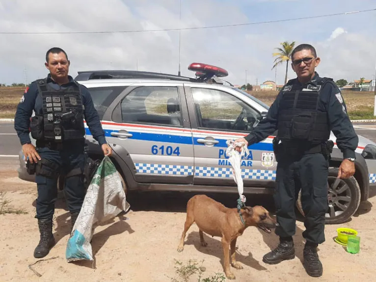 Militares receberam a denúncia por telefone, mas desconhecem o autor dos maus-tratos.