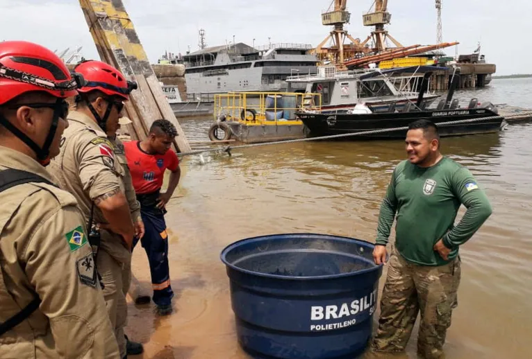Animal foi resgatado pelas equipes da Semma, Corpo de Bombeiros e ZooUnama