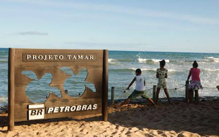 Sede do Projeto Tamar, que comemora marca de 40 milhões de tartarugas marinhas protegidas e devolvidas ao oceano
