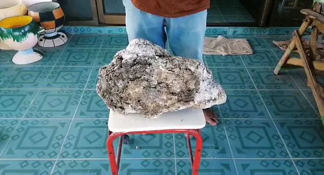 Pescador encontra vômito de baleia que pode valer mais de R$ 2,6 milhões