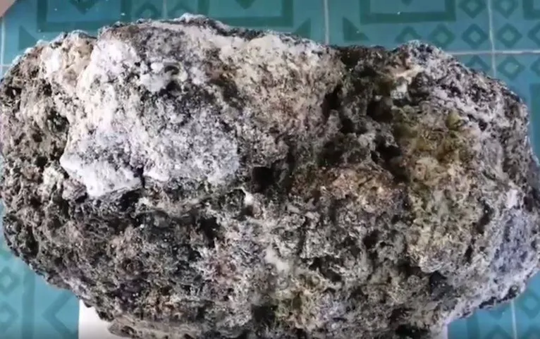 Pescador encontra vômito de baleia que pode valer mais de R$ 2,6 milhões