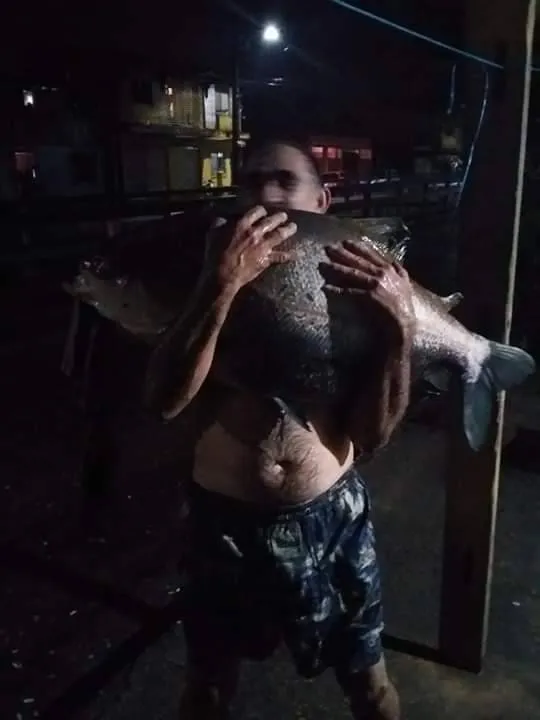 Tambaqui gigante é capturado em Castanhal; veja!