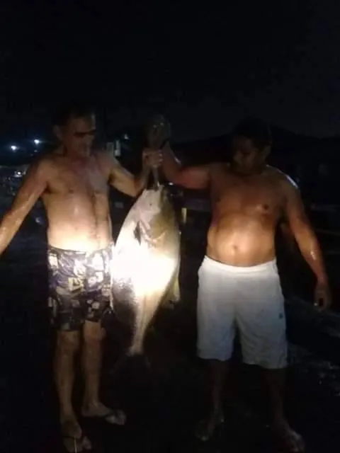 Tambaqui gigante é capturado em Castanhal; veja!