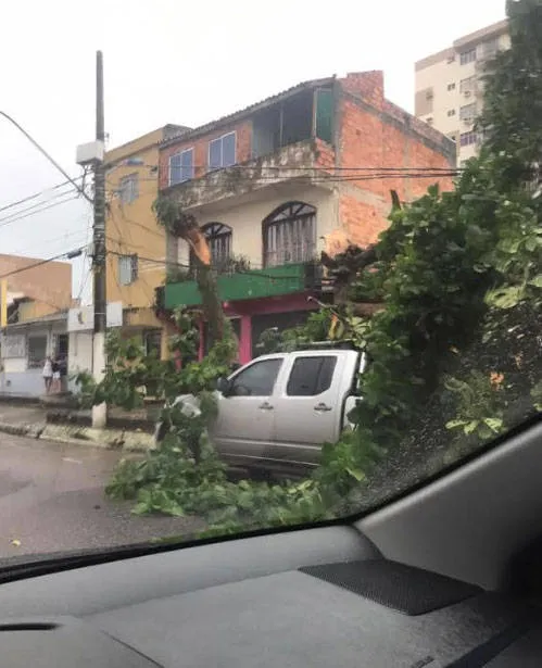 Quatro árvores caem em Belém durante forte chuva, apontam internautas