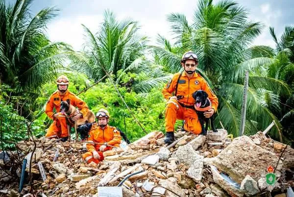 Cachorros que atuaram no resgate em Brumadinho se "aposentam"