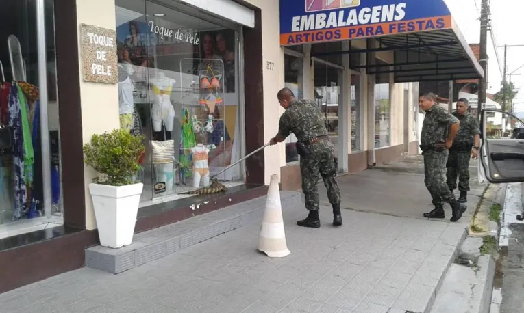 Polícia Ambiental foi acionada para realizar o resgate de jacaré. 