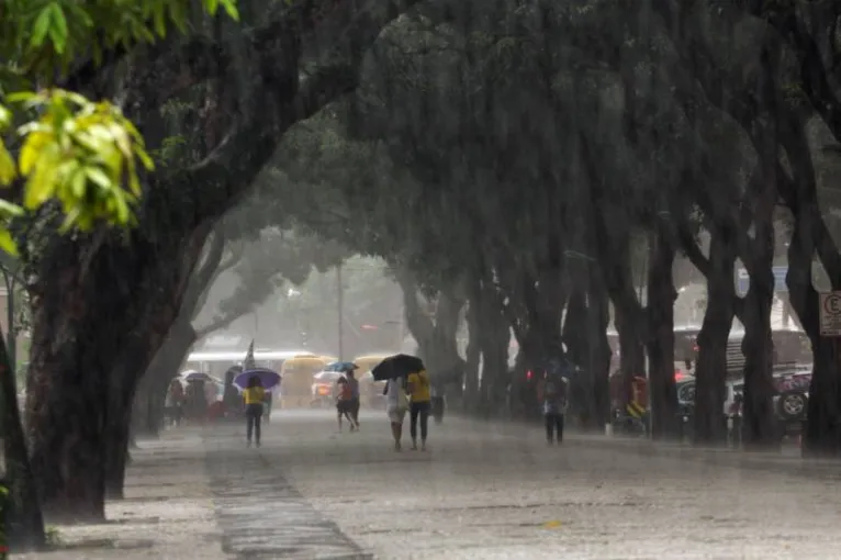 Defesa Civil alerta sobre cuidados durante o período das chuvas