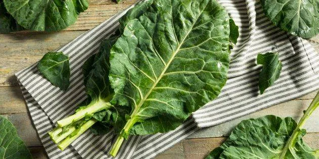 Oito
alimentos que combatem o cansaço
