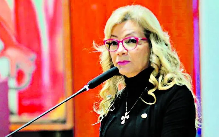 O projeto é de autoria da deputada Nilse Pinheiro