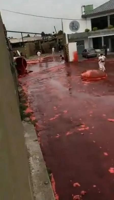 Matadouro despeja 500 mil litros de sangue em ruas após pane no maquinário; assista!