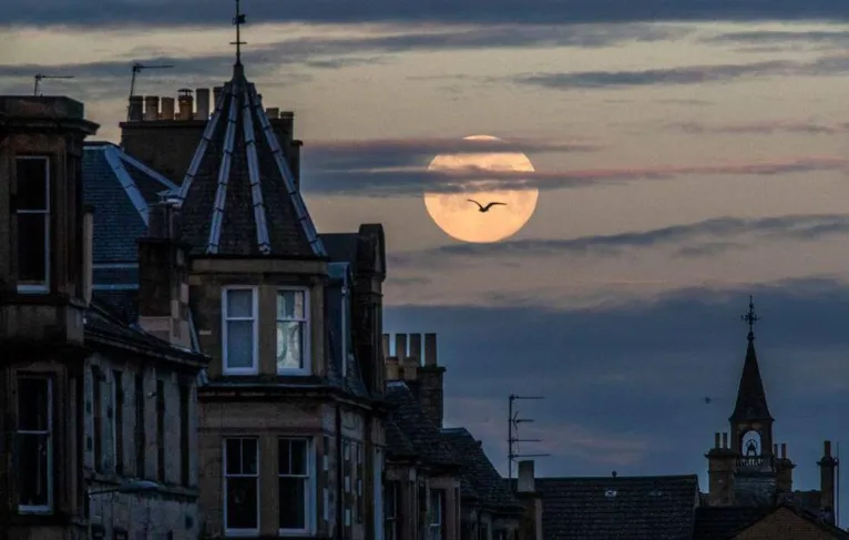 Registro de Jane Barlow, de Edimburgo, na Escócia