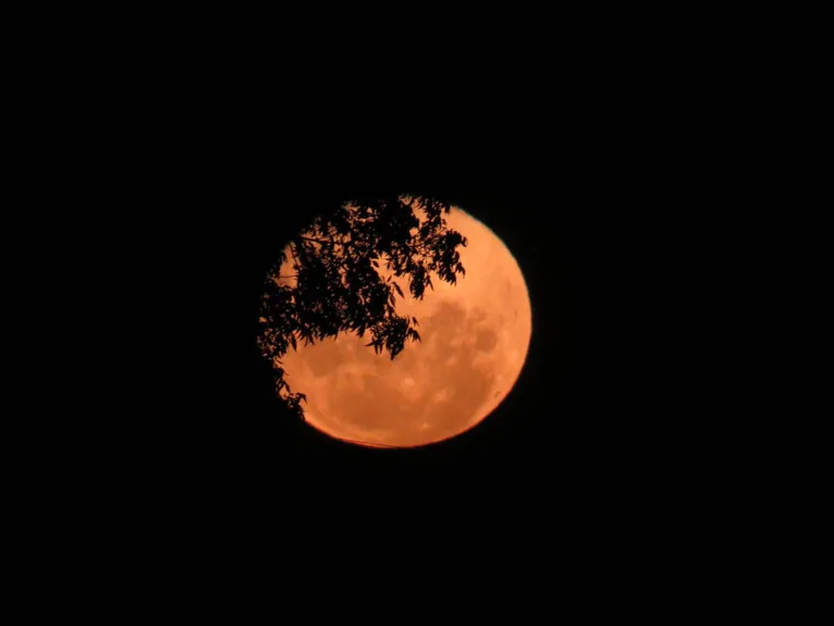 Foto por Ernesto Boff (via Twitter)