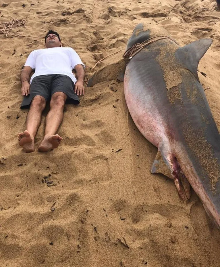 Foto mostra comparação entre o tamanho de um homem adulto e o tubarão pescado em Regência.