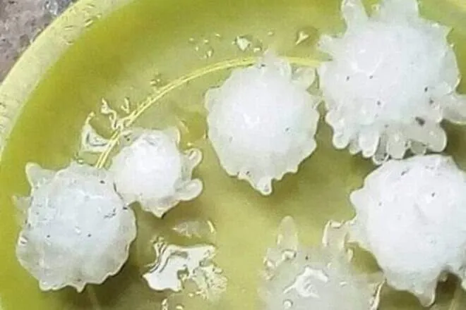 Chuva de granizo em formato de coronavírus assusta moradores. Veja! 