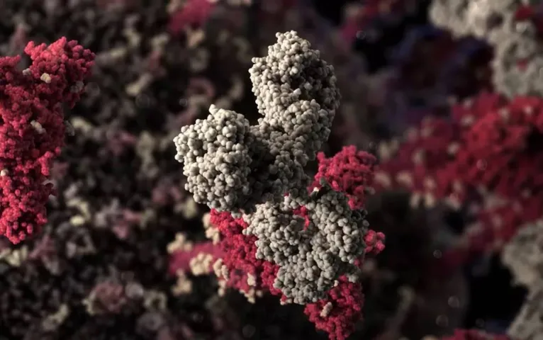 Modelo mais preciso do coronavírus é reproduzido em 3D por estúdio; veja o vídeo!