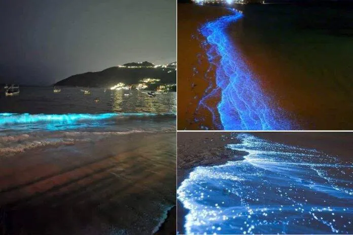 Sem poluição, praia de Acapulco "brilha" pela primeira vez em 60 anos