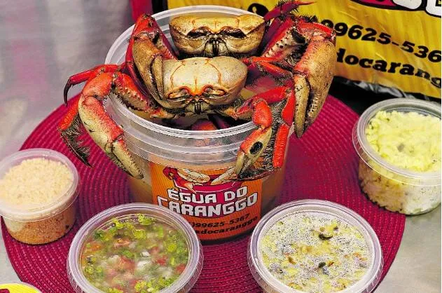 “Égua do caranggo” investe no caranguejo para agradar clientes