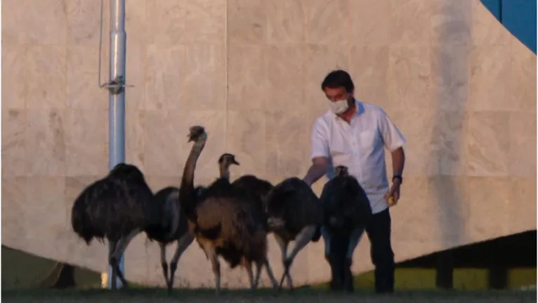 Em isolamento, Bolsonaro sai para passeio e é bicado por ave 
