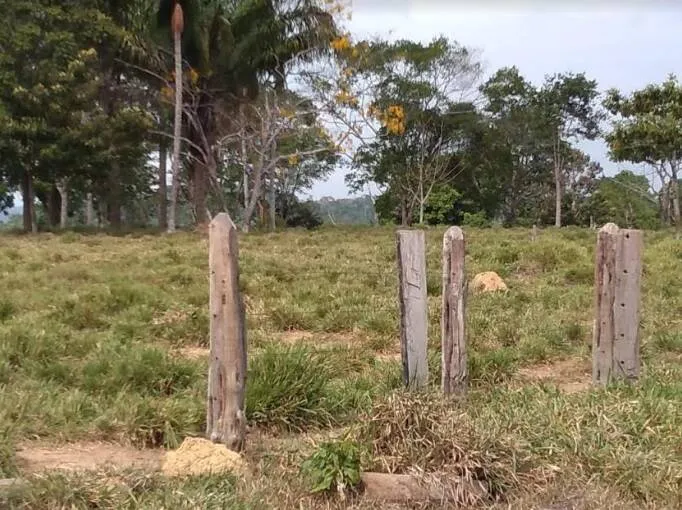 Banco da Amazônia disponibiliza linhas de crédito de custeio para o agronegócio no Pará. 