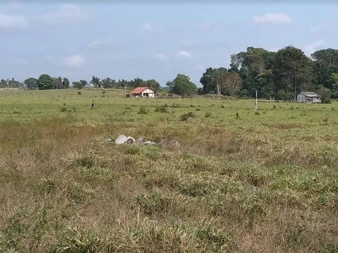 Banco da Amazônia disponibiliza linhas de crédito de custeio para o agronegócio no Pará. 