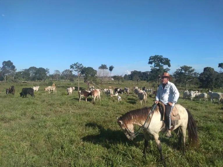 O Banco da Amazônia disponibiliza vários programas de custeio para que os agricultores rurais possam ter um incentivo financeiro.