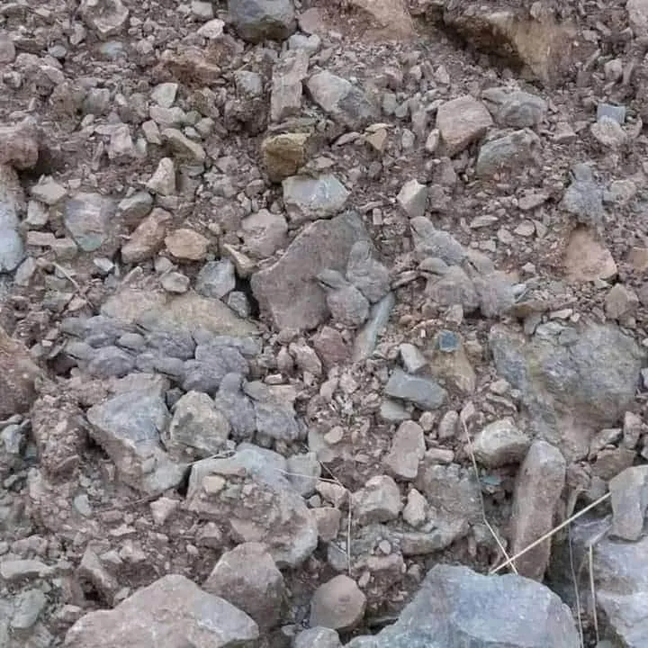Quantos pintos você consegue ver na imagem? Veja a resposta!
