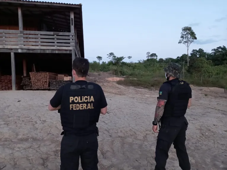 Exploração de madeira ilegal e corrupção de servidores são alvos de operação