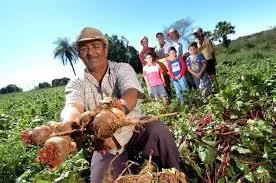 A agricultura familiar é um dos setores mais importantes da economia mundial