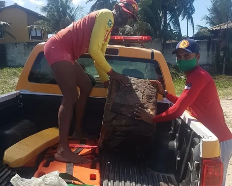"Caixas misteriosas" voltam a surgir em praias de Pernambuco