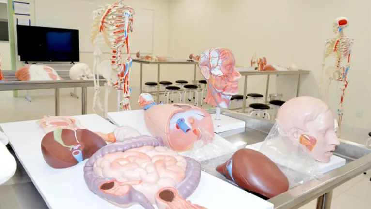 Curso de nutrição da Estácio é um dos mais conhecidos do Pará e estudantes contam com recursos totais para o aprendizado