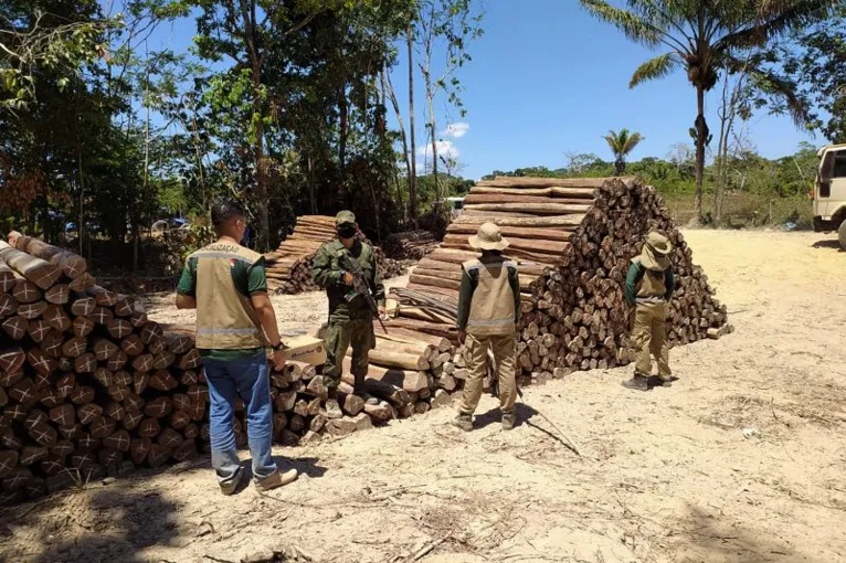 Fiscalizações diminuem em 38% o desmatamento no Pará no mês de julho