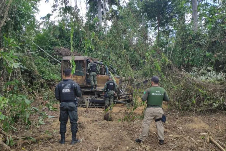 Operação Amazônia Viva chega a sua quarta fase cobrindo 15 municípios, com incursões na mata e buscas em pontos de desmatamento