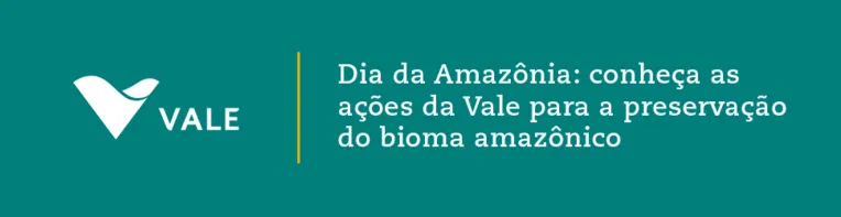 Dia da Amazônia: conheça as ações da Vale para preservação do bioma Brasileiro