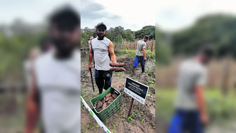 Projeto é desenvolvido pela Embrapa 