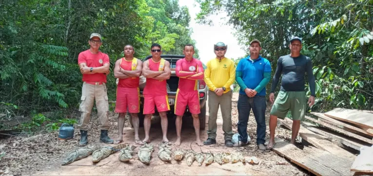 Jacarés são apreendidos em cativeiro clandestino em Cametá