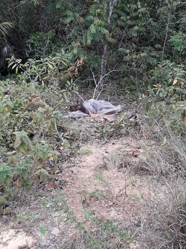 Corpo do jovem já estava em estado de decomposição e apresentava sinais de tortura. 