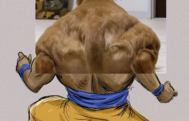 Cachorro musculoso bomba na web e vira meme