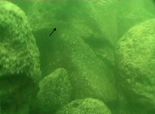 Misteriosa estrutura de 70m é encontrada no fundo do Mar da Galileia