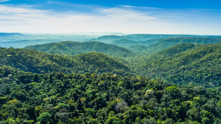 Vale apoia a proteção da Floresta Nacional de Carajás