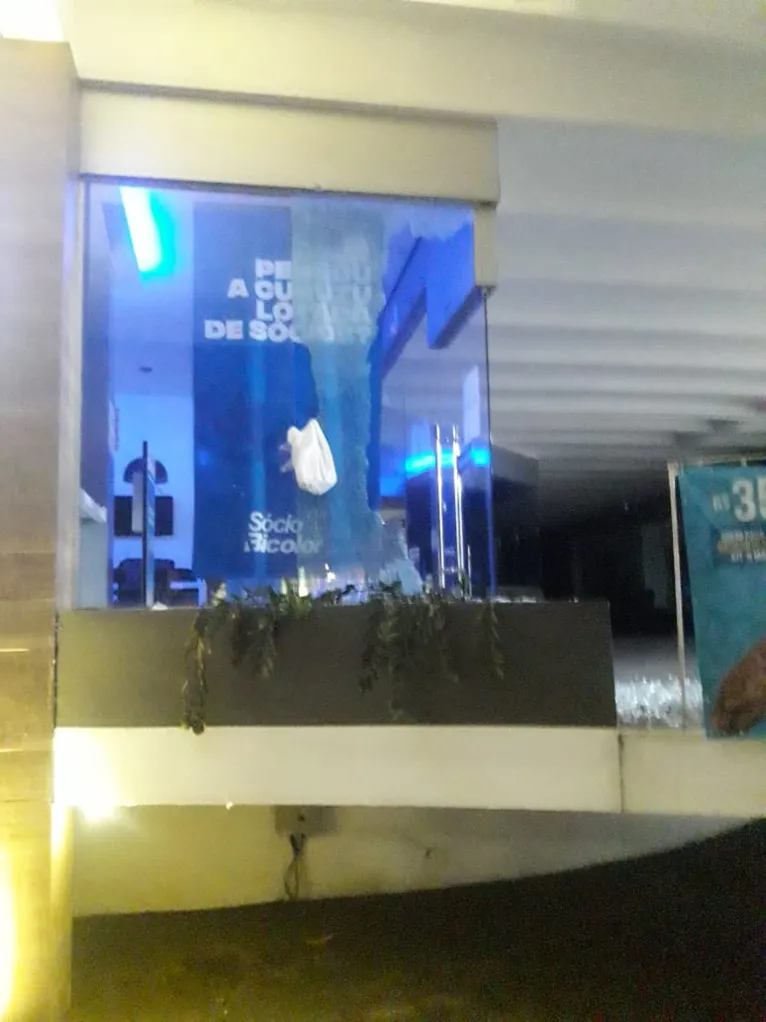Homem em moto ataca sede do Paysandu minutos após derrota 