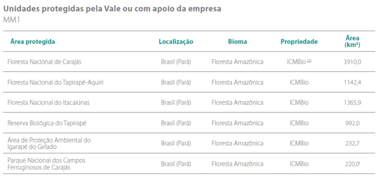 Dia da Amazônia: conheça as ações da Vale para preservação do bioma Brasileiro