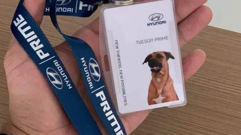 Cachorro é adotado por funcionários e vira atração em concessionária