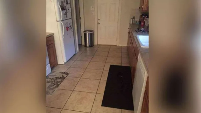 Você consegue encontrar a cachorrinha na foto?